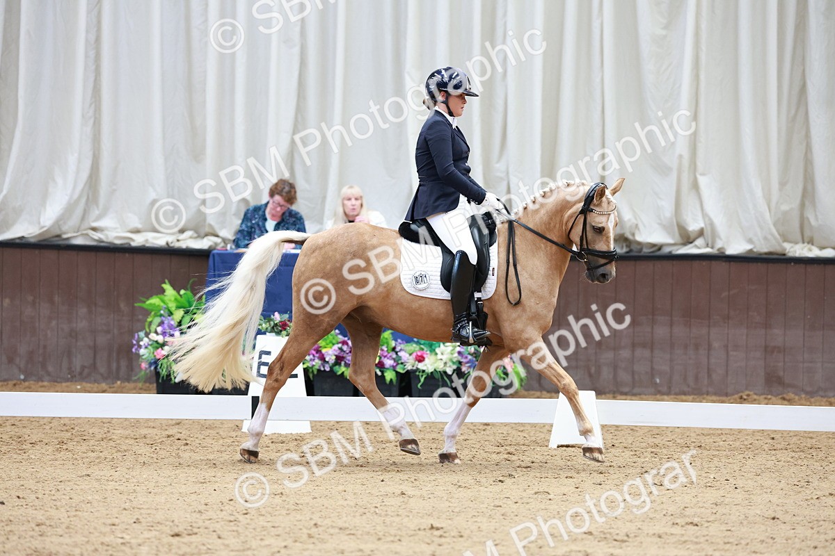 SBM_017303 - Class15 - FEI Pony