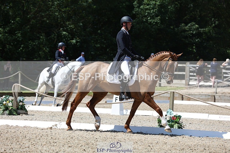 230526-115726-06134 - 157-GODSEND_DU_GIVRE-Henry_Dove-WEDTrotUp+DR