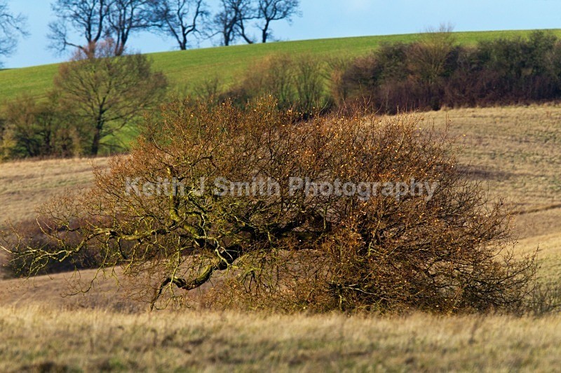 1KJS1339 - United Kindom