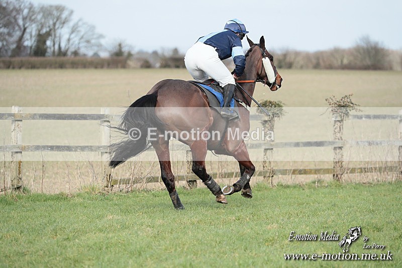 PtP 220225 685 - Kimblewick Point-to-Point  Kingston Blount 22/02/25