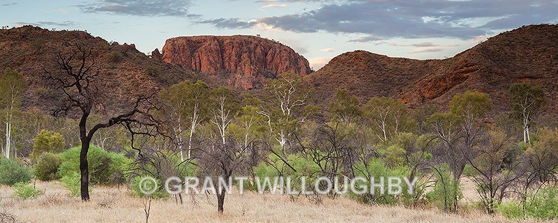  - Australia