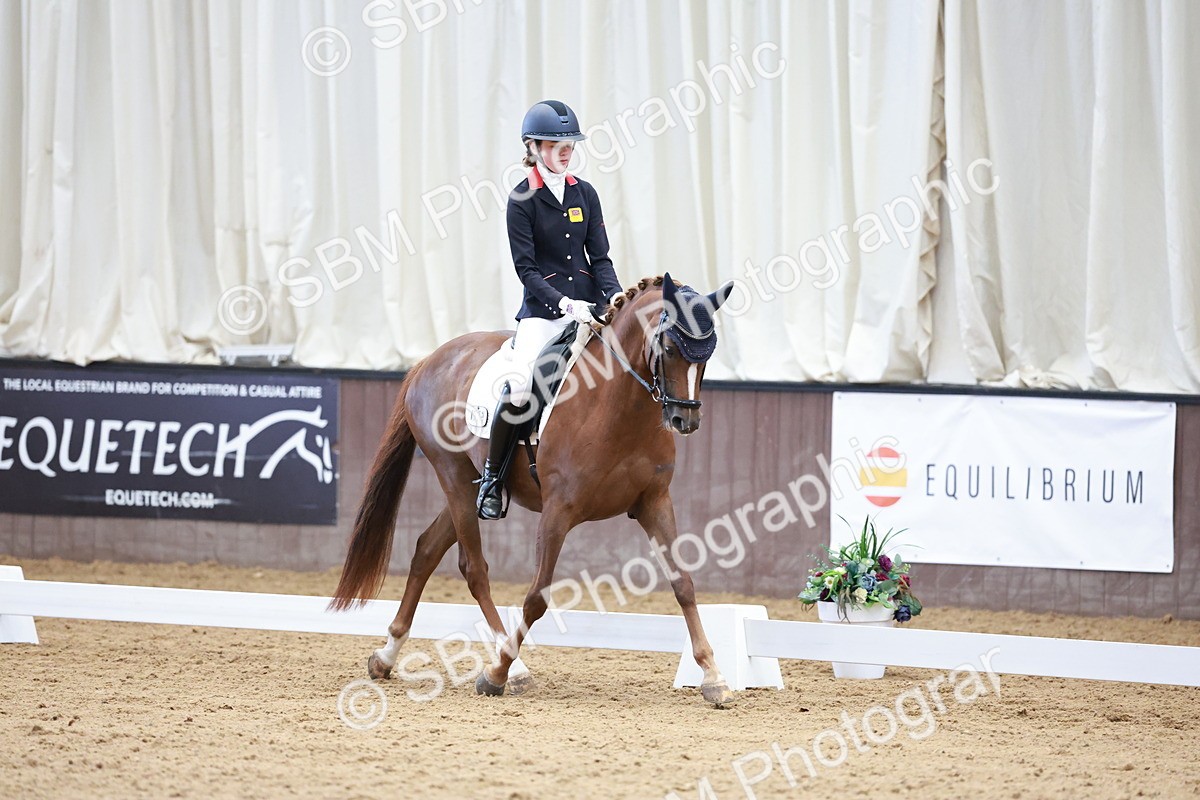SBM_017183 - Class15 - FEI Pony