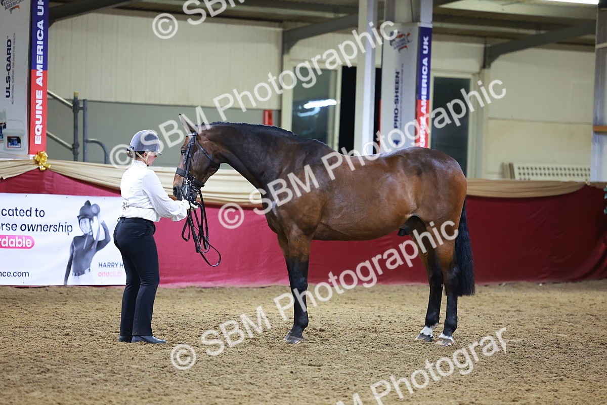 SBM_15551 - Class R - Veteran Champ