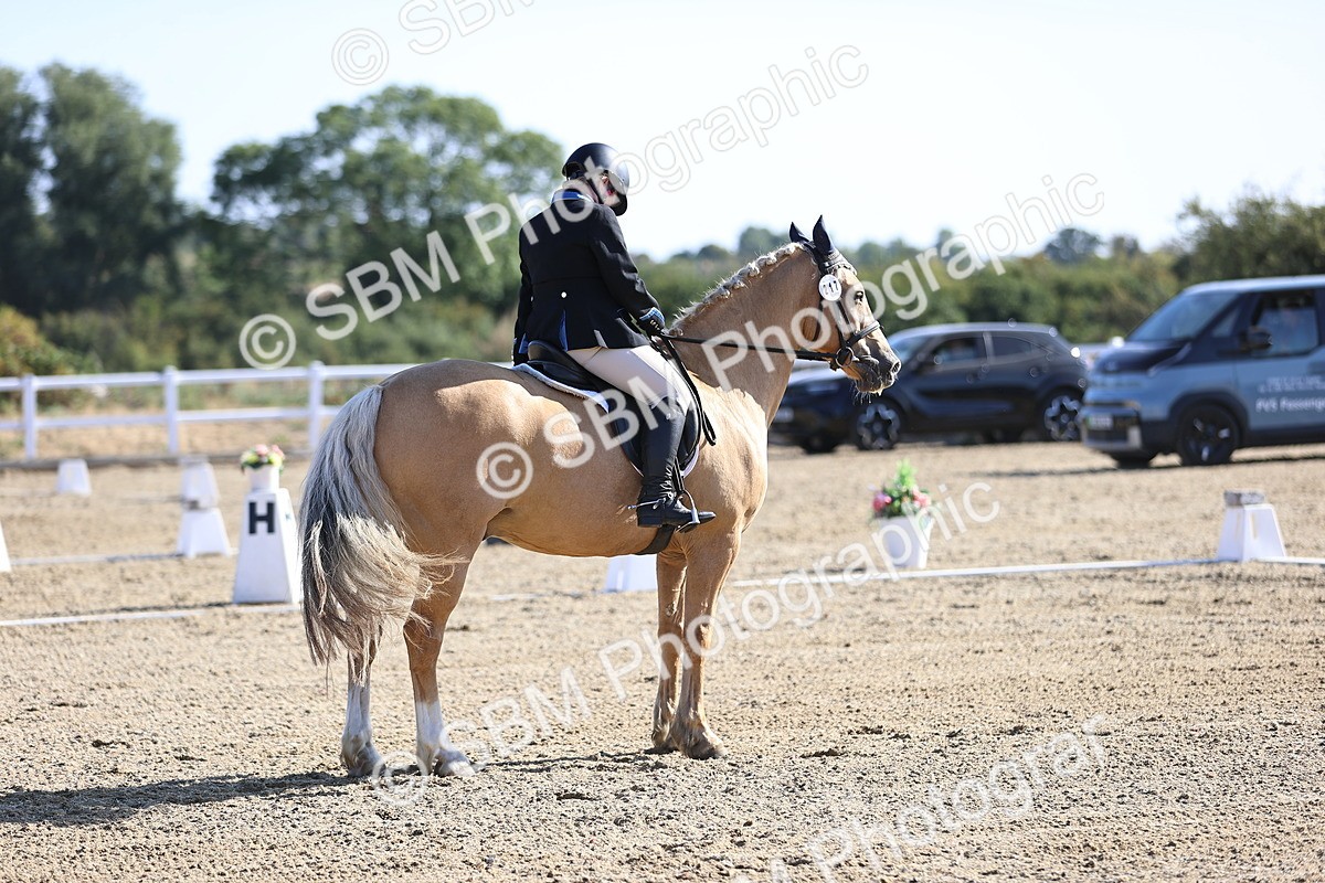 SBM_012515 - Class 2 - P5 Silver 9.00.9.49