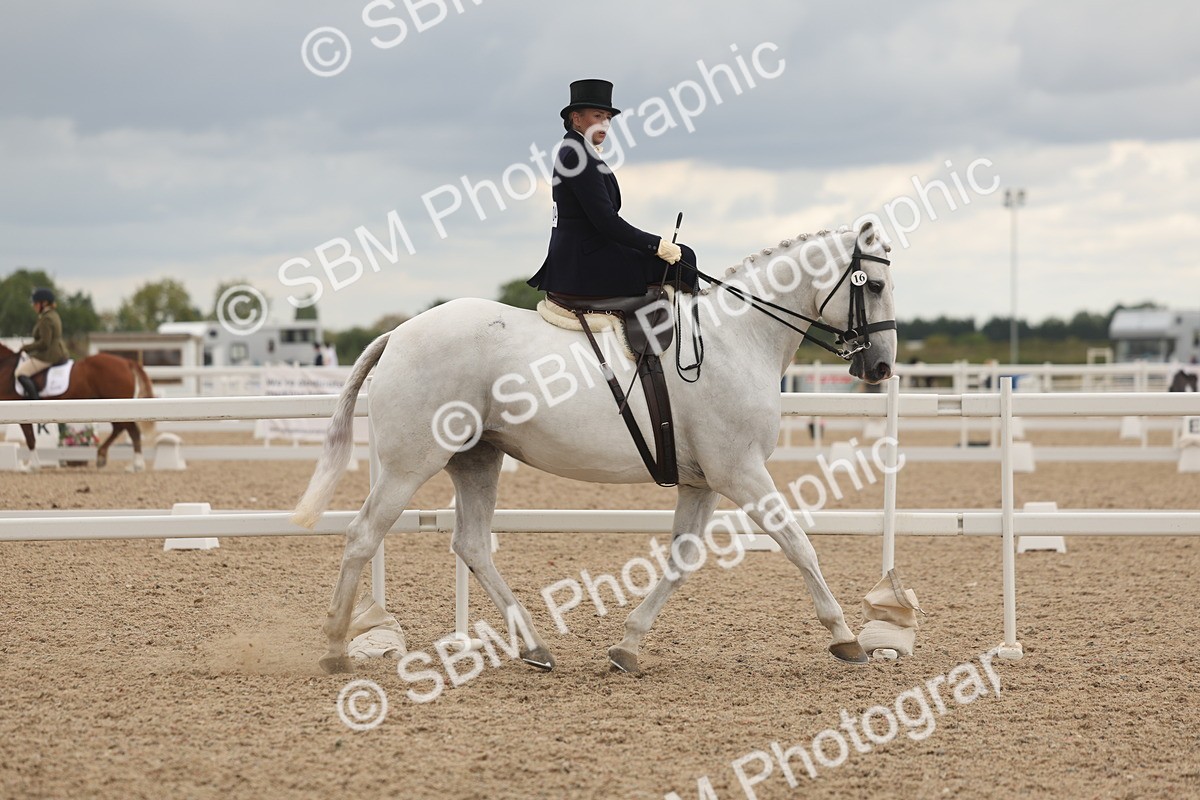 SBM_06410 - Class 23 - SSA - Classical