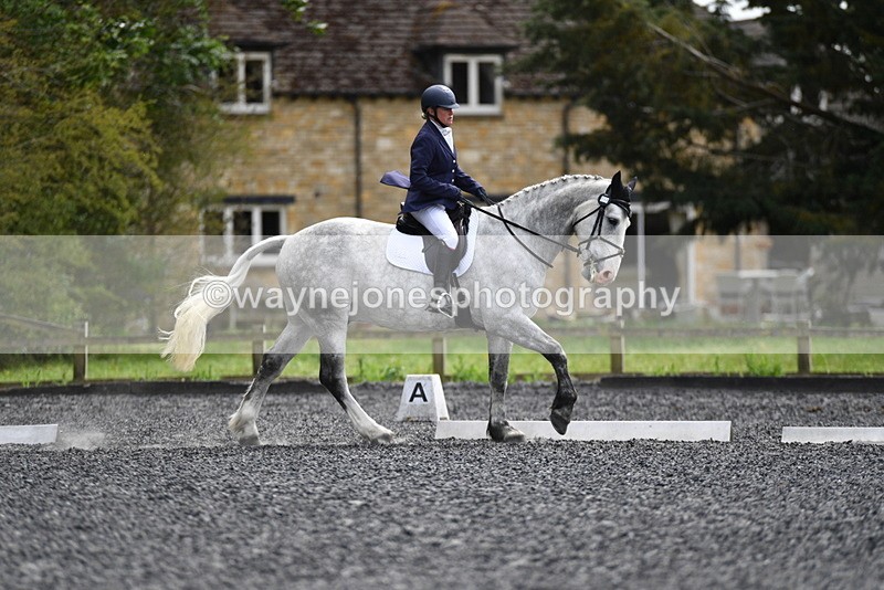 WJ5_1959 - Time 15:05 to 15:30