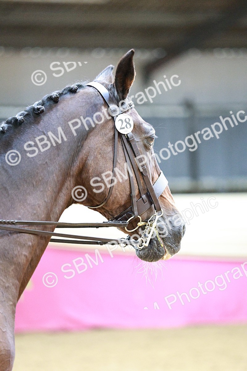 SBM_02274 - Class 4A - Area Ridden Diamond