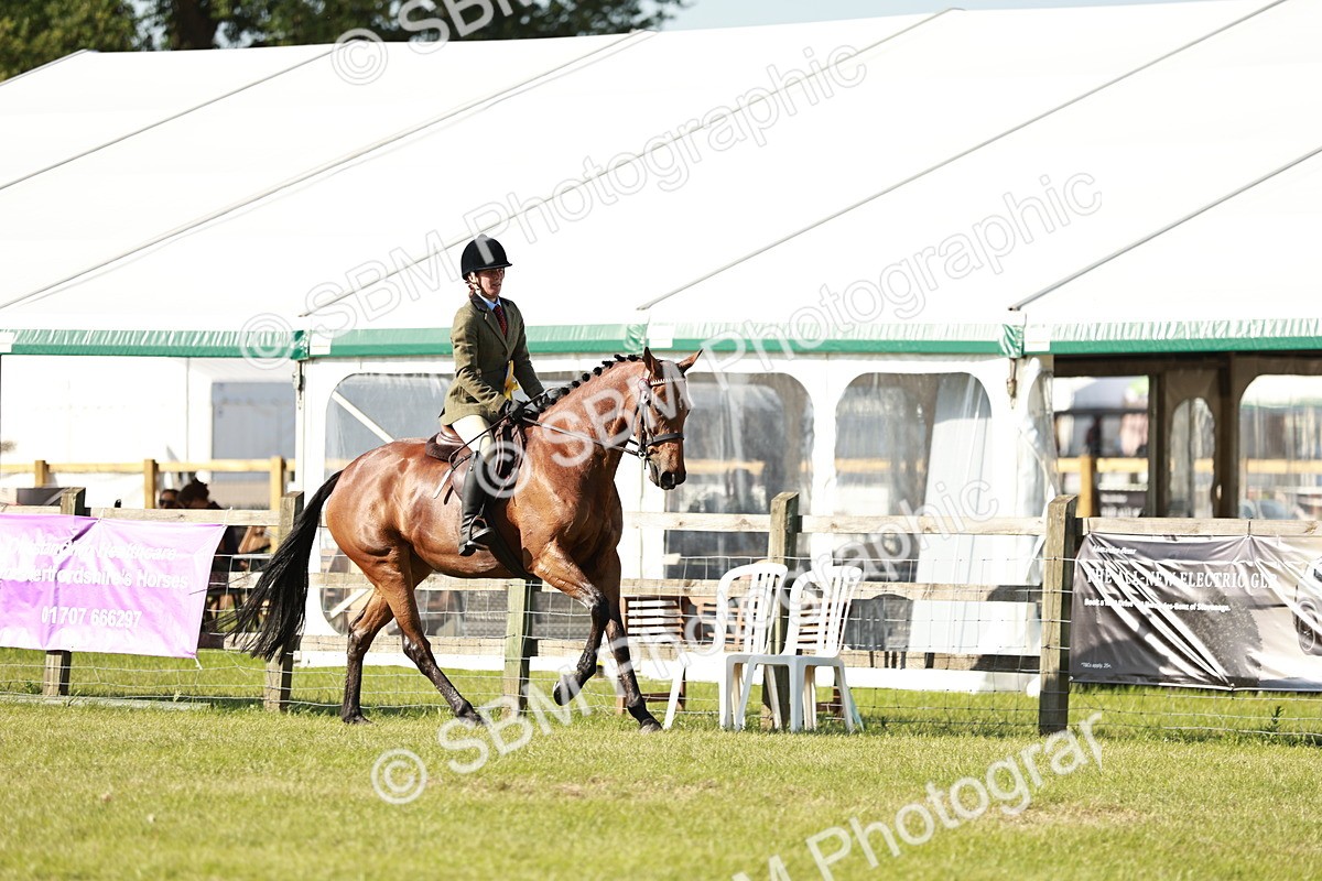 SBM_19345 - Class 115-116 - LIHS BSHA Rising Star Working Hunter & Show Horse