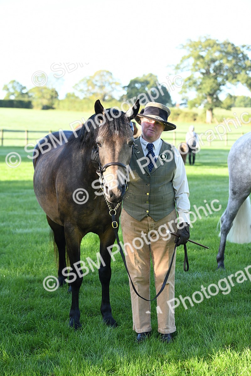 SBM_32820 - S15 - Condition & Turnout In Hand