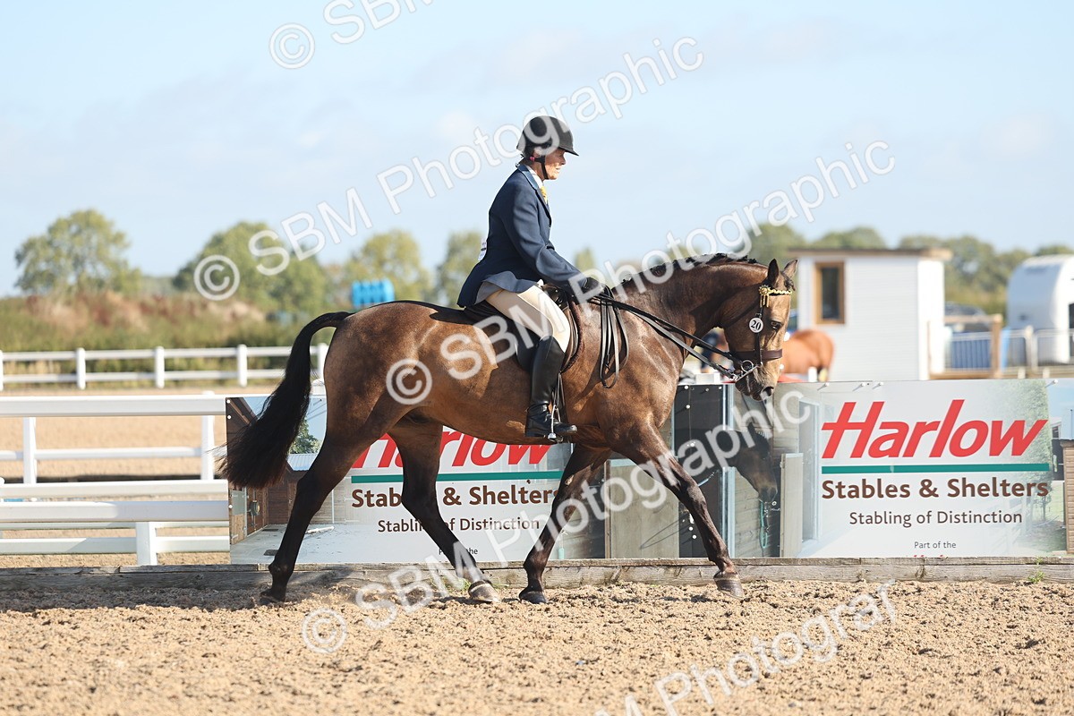 SBM_22276 - Class 803 - Ridden Combination 65+