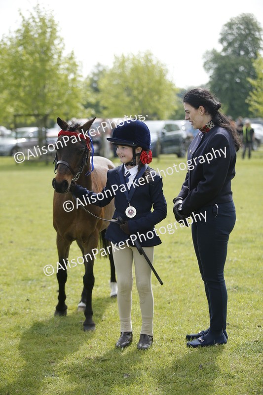 20260426-1887 - Class 7 - Pony Judge Would Most Like To Take Home