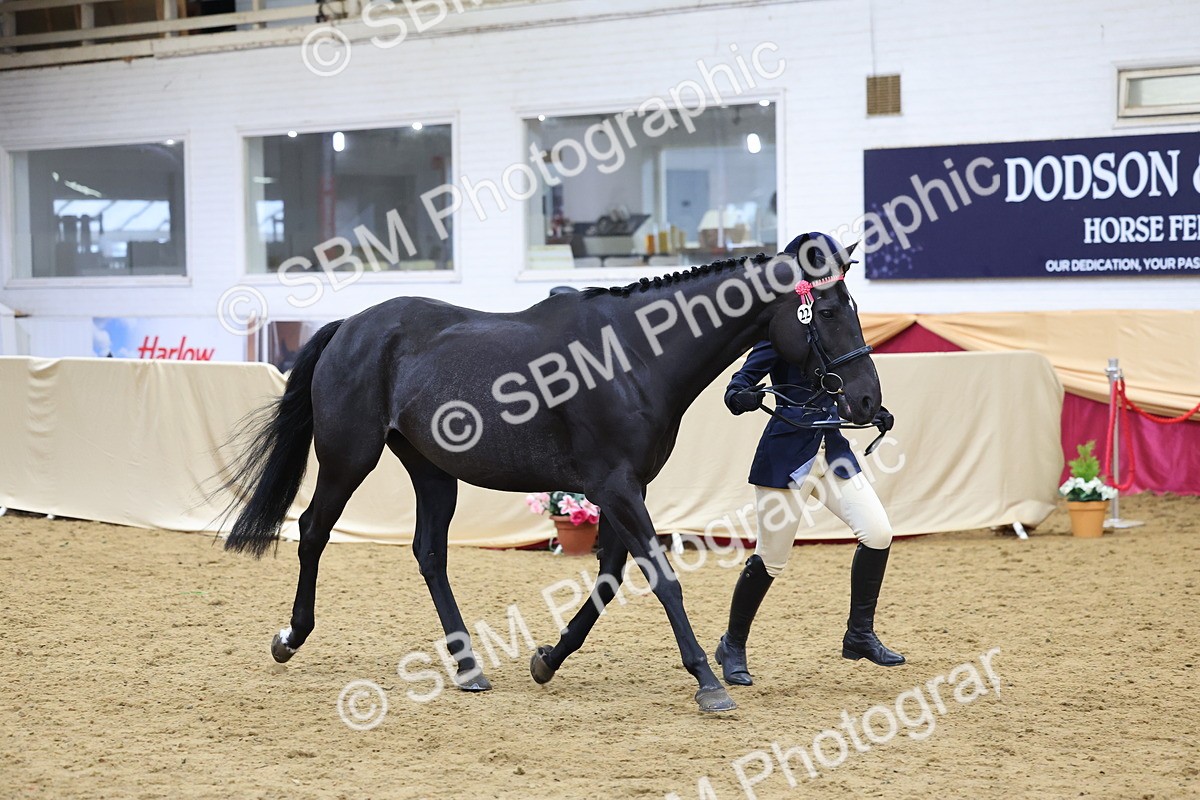 SBM_21103 - Class 902 - Supreme Final IH Veteran