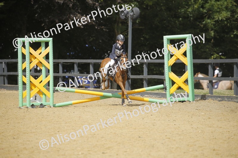 20250622-3941 - 50cm