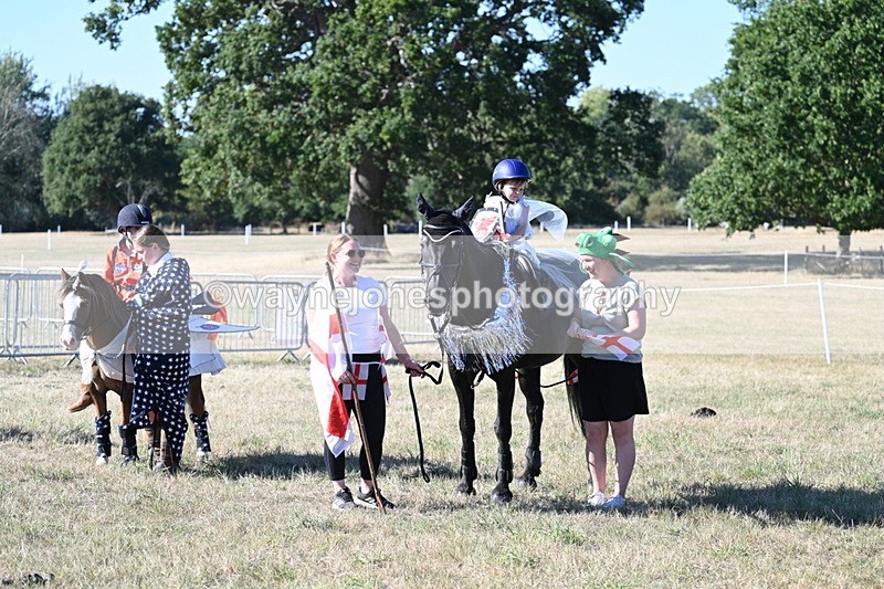 WJ7_2612 - Class 45 Fancy Dress (My Fav)