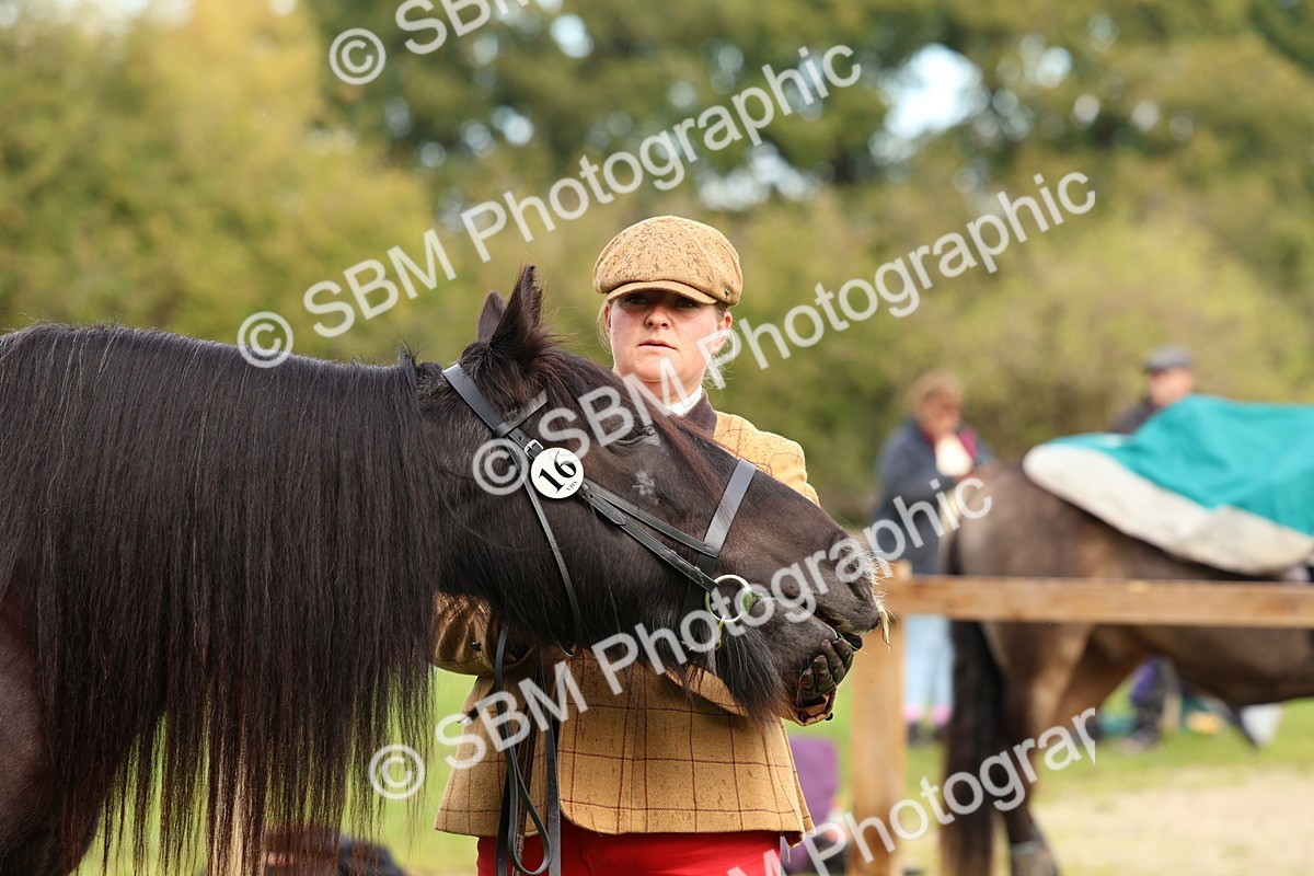 SBM_39363 - S24 - Young Veteran In Hand