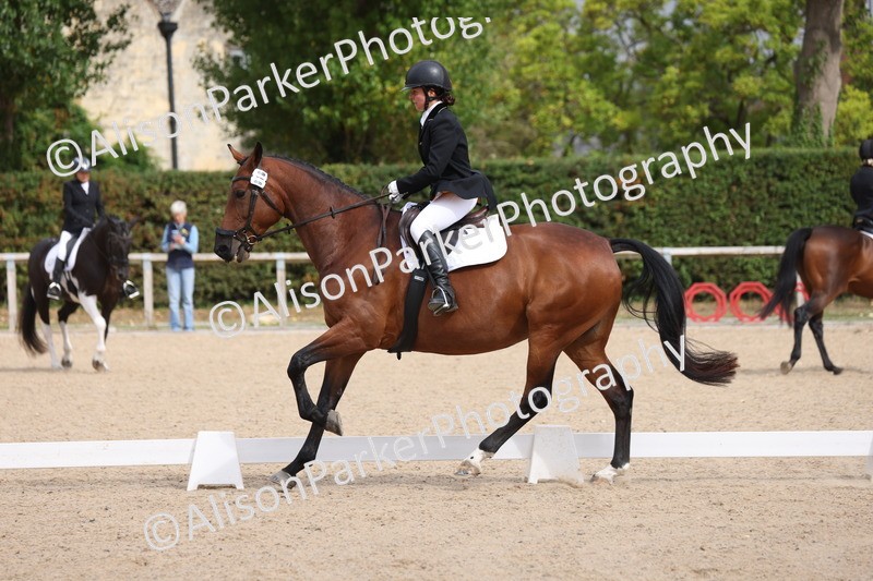 20250820-0502 - Class 14 - Prelim 5