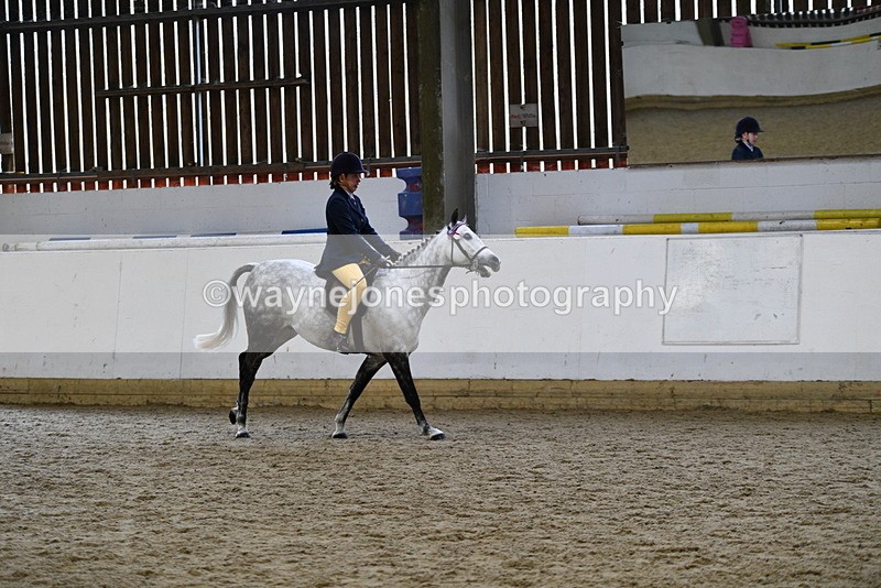 WJ5_7749 - Class 13 Ridden Part Breed
