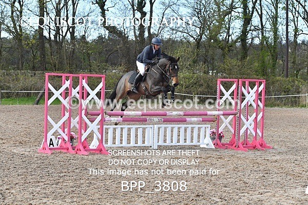 BPP_3808 - CLASS 3 FRI Senior British Novice/ 90cm Open