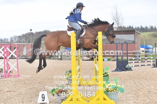 BPP_0484 - CLASS 2 Club/ Unaffiliated 80cms Open