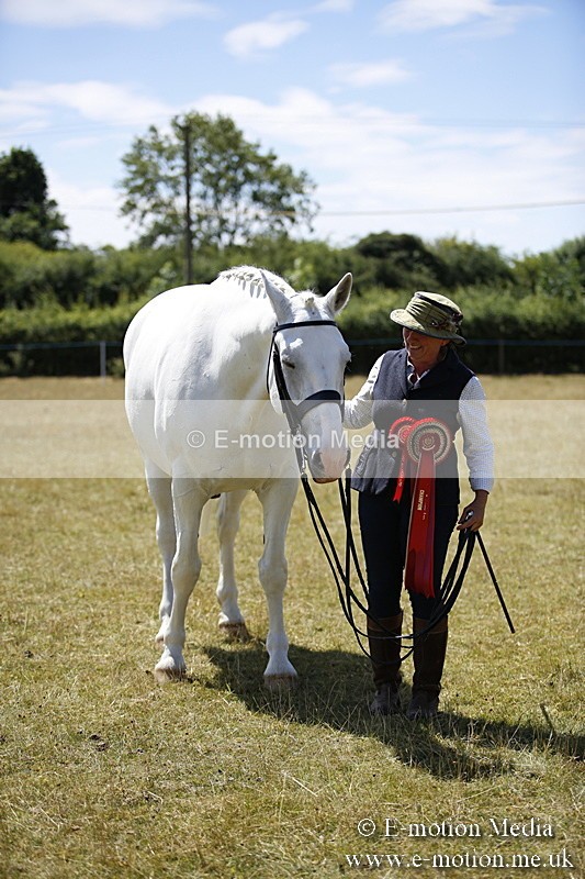 _C7A0169 - In Hand Championship BVRC Show 2018