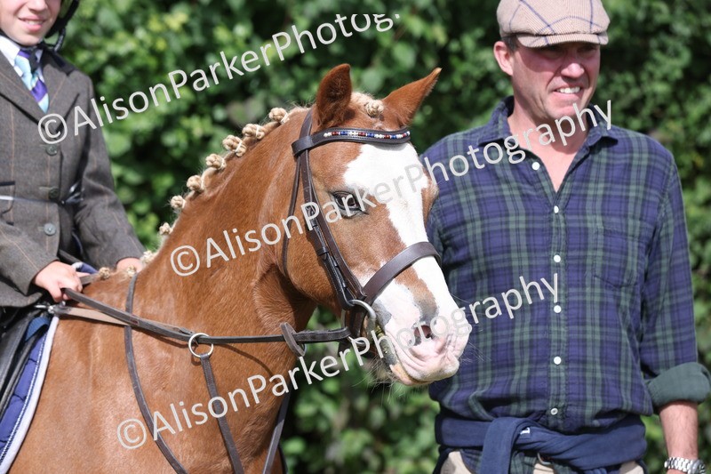 20250831-1131 - Class 15 - Ridden Veteran