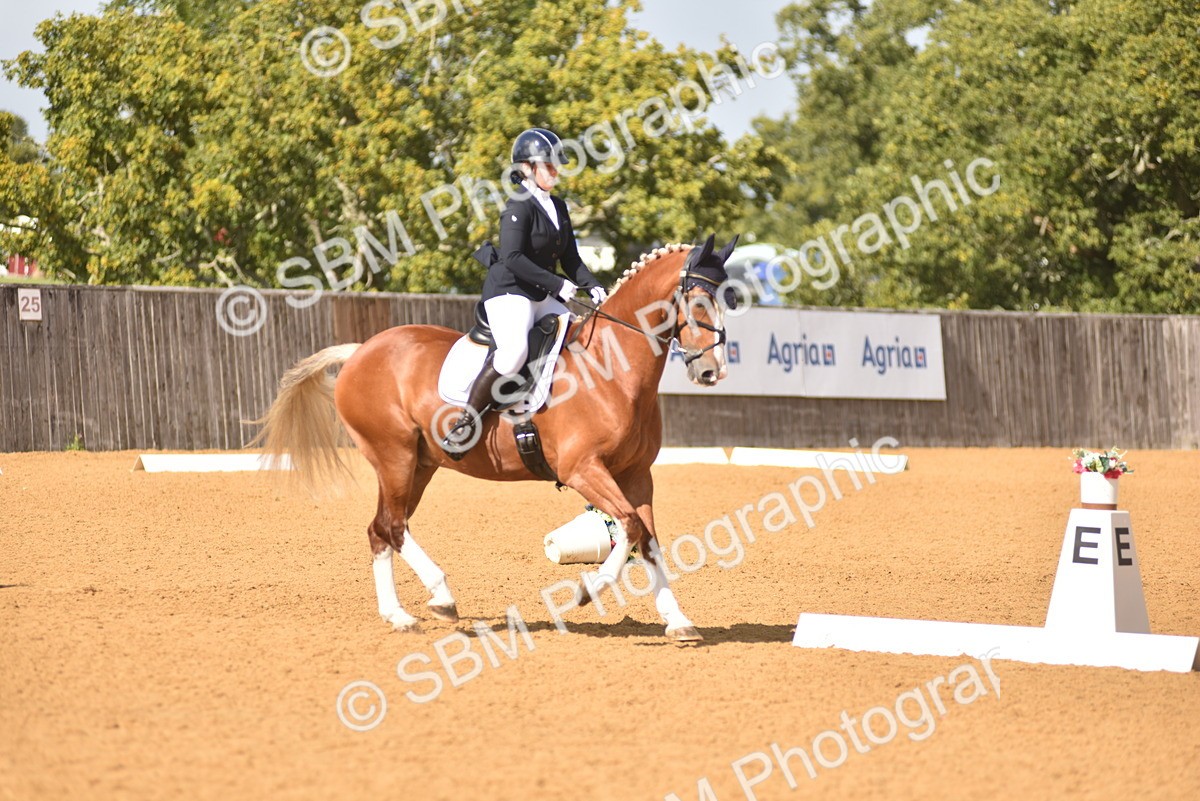 SBM_07819 - D15 - Small Tour Championship Novice 1