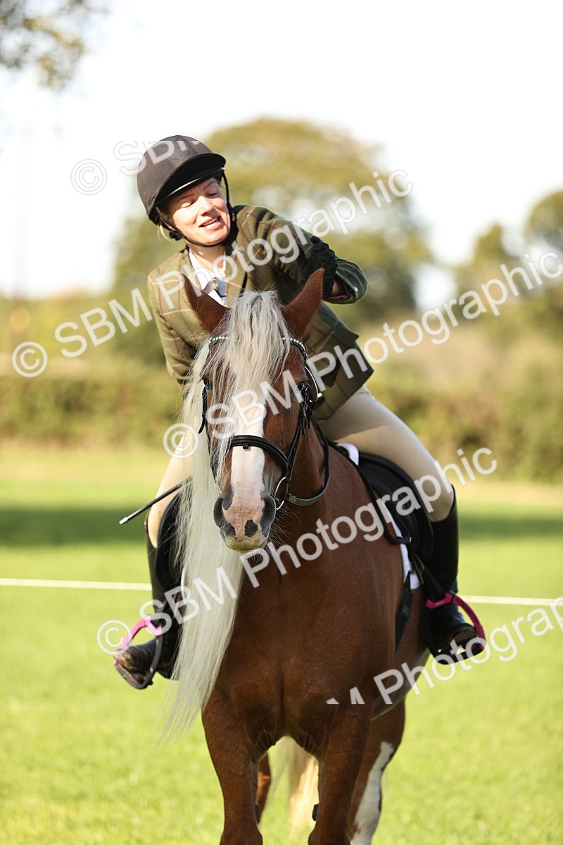 SBM_16987 - S2 - TSR Ridden Pony Showing