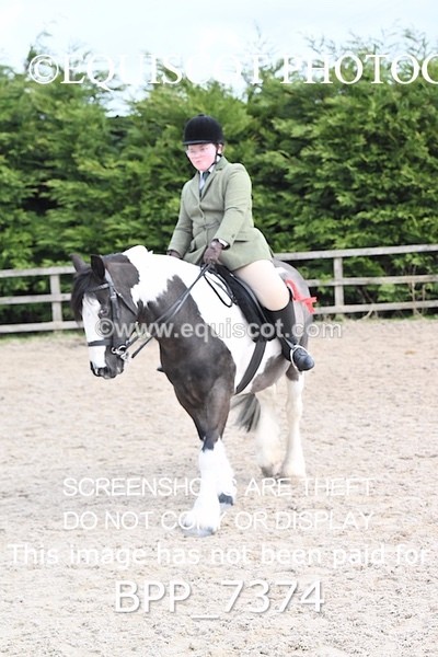 BPP_7374 - RING 1  (RIDDEN HORSES / IN HAND / VETERAN ETC)