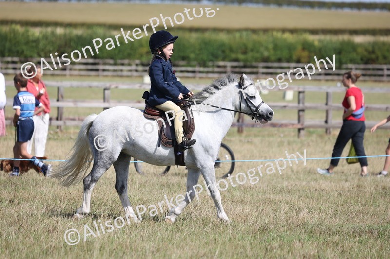 20260906-2577 - Class 18 - Childs First Pony