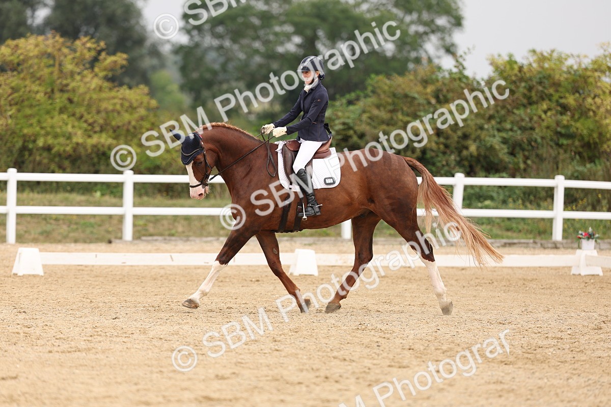 SBM_01631 - Class 9 - Novice 27 Champs