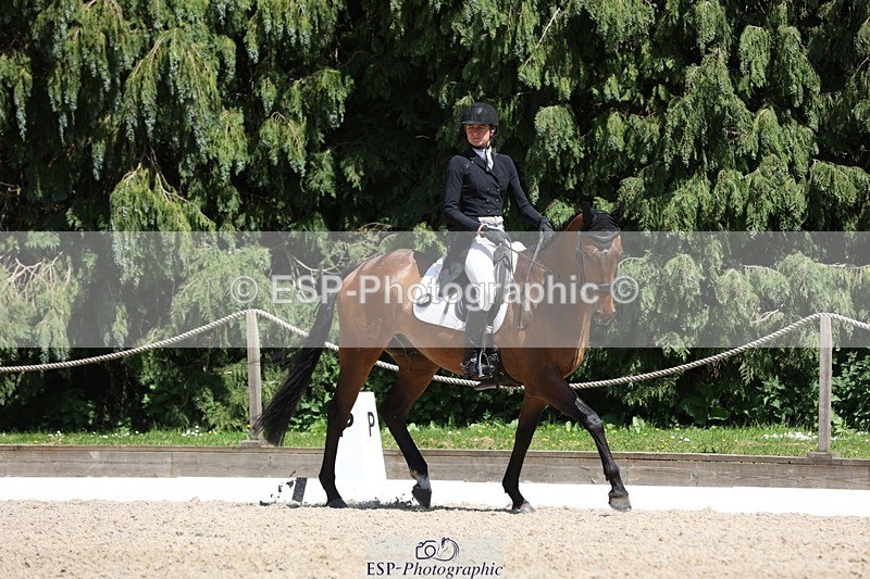230526-142012-06500 - 373-BENGAL_LORE-Pippa_Taylor-WEDTrotUp+DR