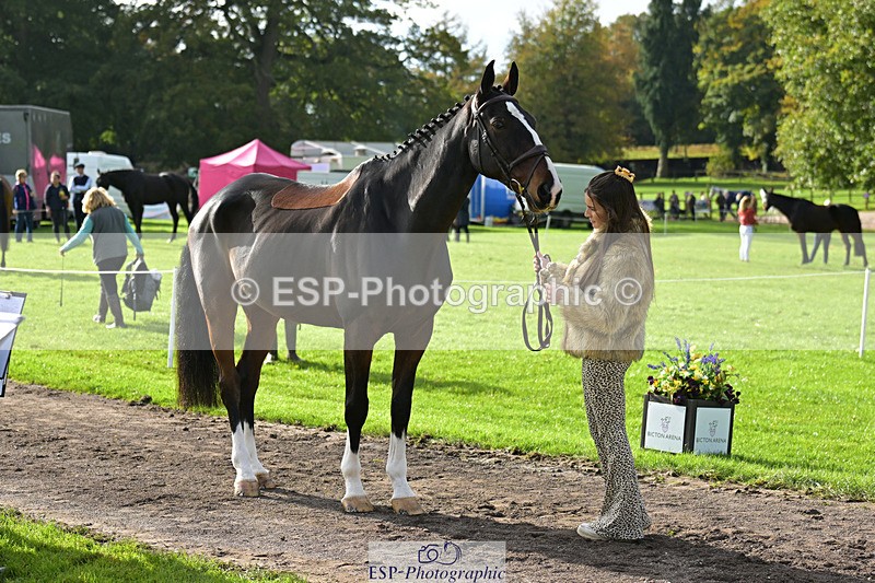 241023-132320-00252 - 016-Liberty.Smith-MODEL.T