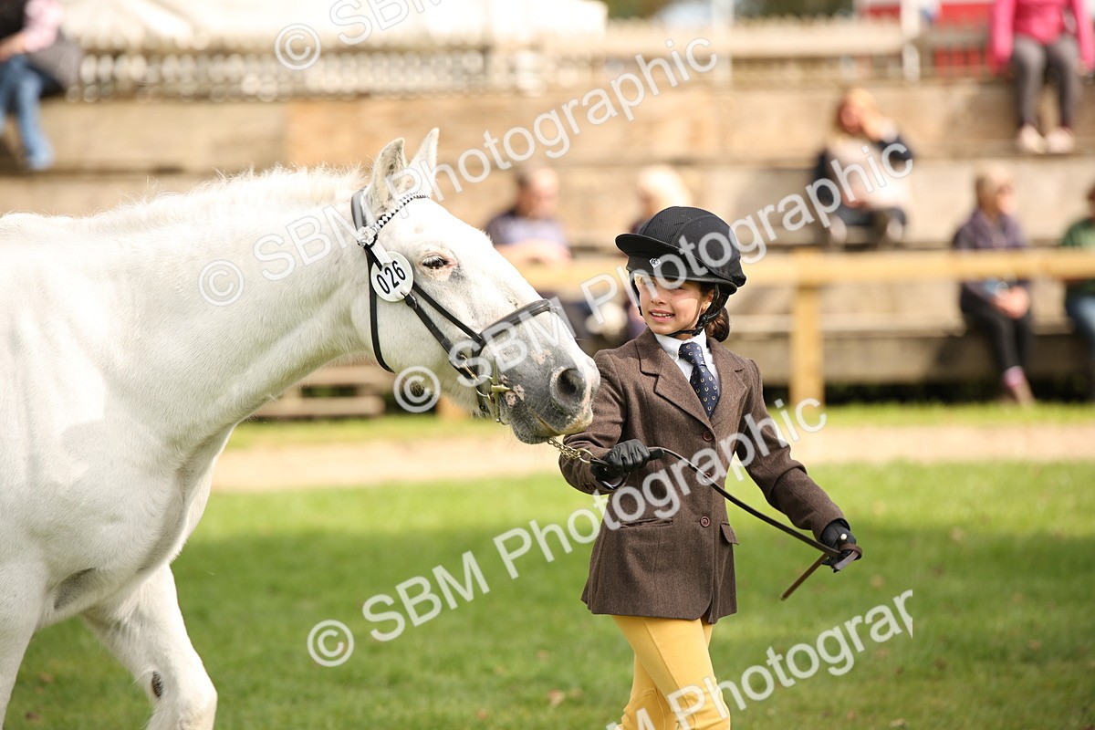SBM_46403 - S25 - Mature Veteran In Hand