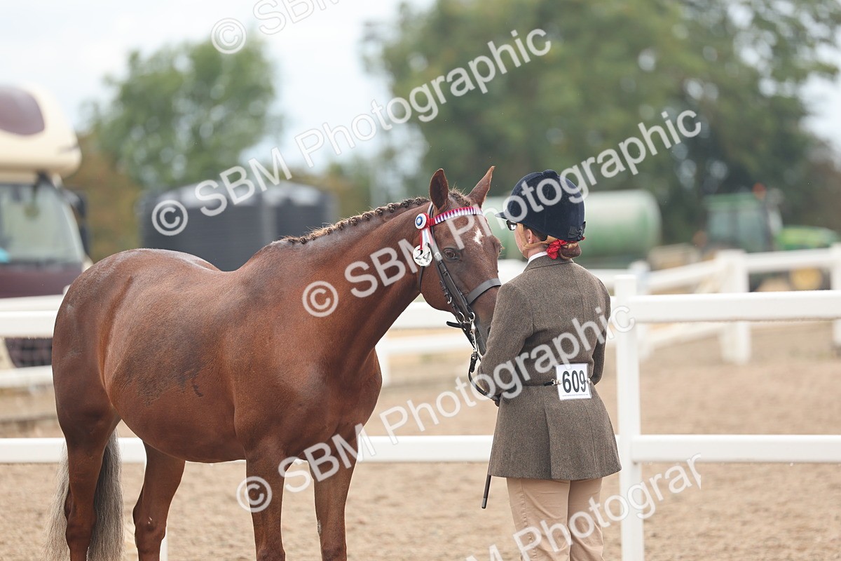 SBM_07779 - Class 27 - IH Competition Horse/Pony