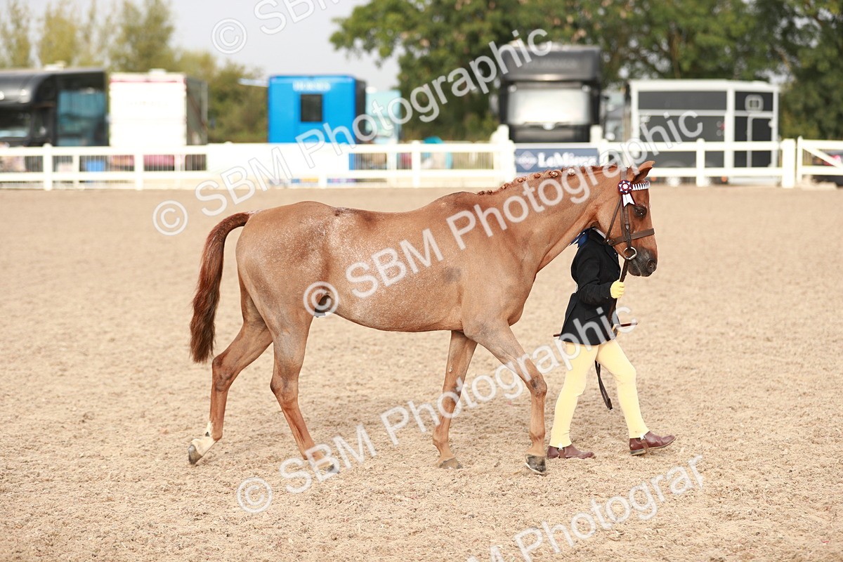 SBM_09845 - Class 203 Young Handler, 10 years and under