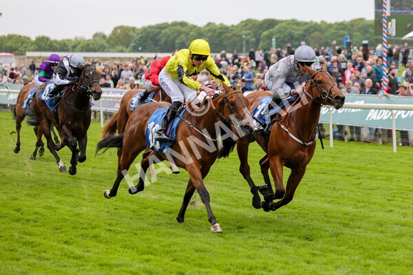 yr13052022r1-31 - Race 1 1.50pm Knights the new name for Langleys British EBF Marygate Fillies' Stakes