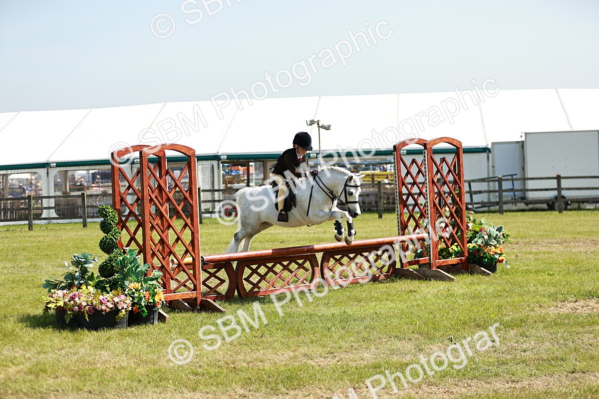SBM_13542 - Class 108-109 - BSPS LIHS Open Gradle & Nursery Stakes