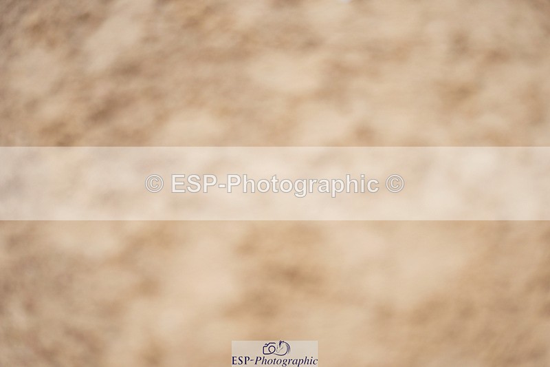 240317A-102948-04826 - Cls 25 Snr 1.20m Open