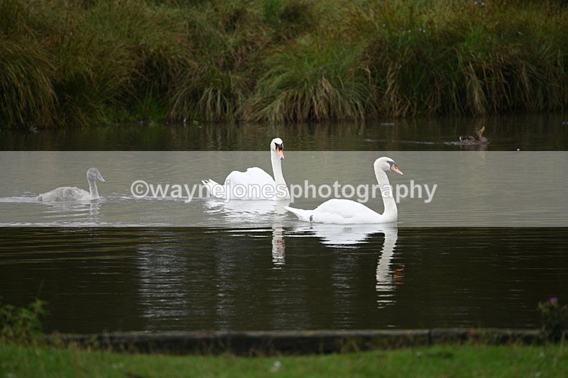 WJ7_9702 - Time at Water 12:24 to 13:32