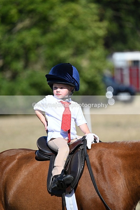 WJ7_2082 - Class 44 Child's Best Friend