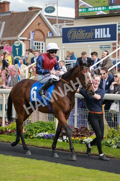 yr21052022r5-7 - Race 5: 4:07pm Phoebe Johnson Celebration EBF Restricted Novice Stakes