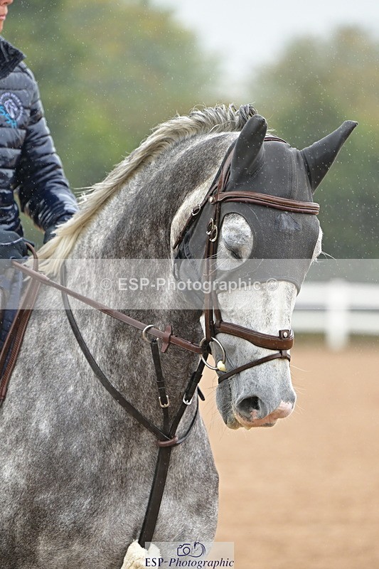 240925A-131825-00818 - Cls 4 Newcomers and 1.10m Open