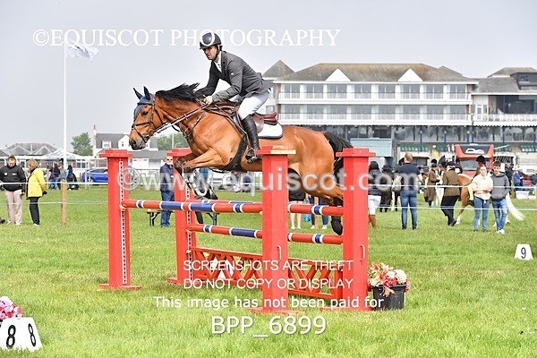 BPP_6899 - CLASS 3 RHS Fox Champ Qual (1.20m)
