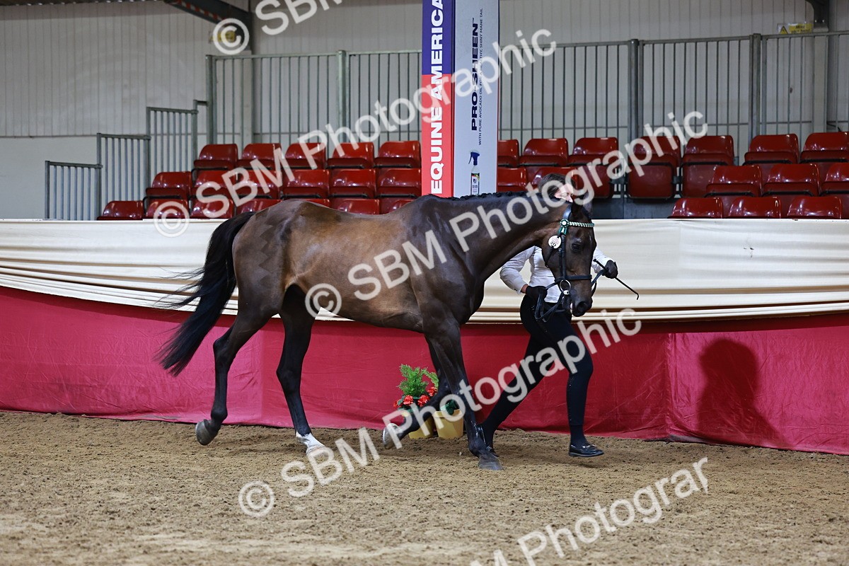 SBM_22215 - Class 902 - Supreme Final - IH Diamond