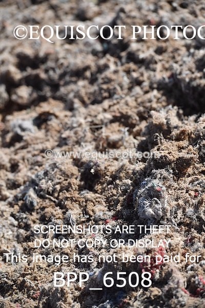 BPP_6508 - CLASS 11 SUN Liz Fox Royal Highland Show JD/JC Championship Qualifier