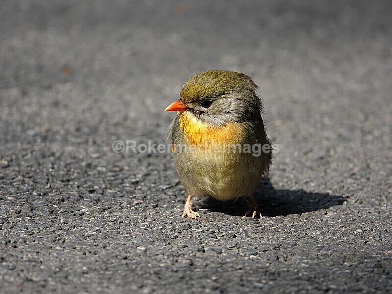 CHINA__0107 - China 2019