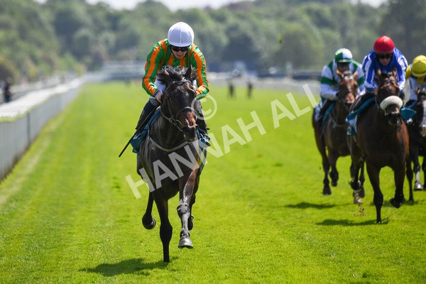 270523-Race 2-Native American-0309 - Race 2 2.10pm Collective Green Energy EBF Restricted Novice Stakes