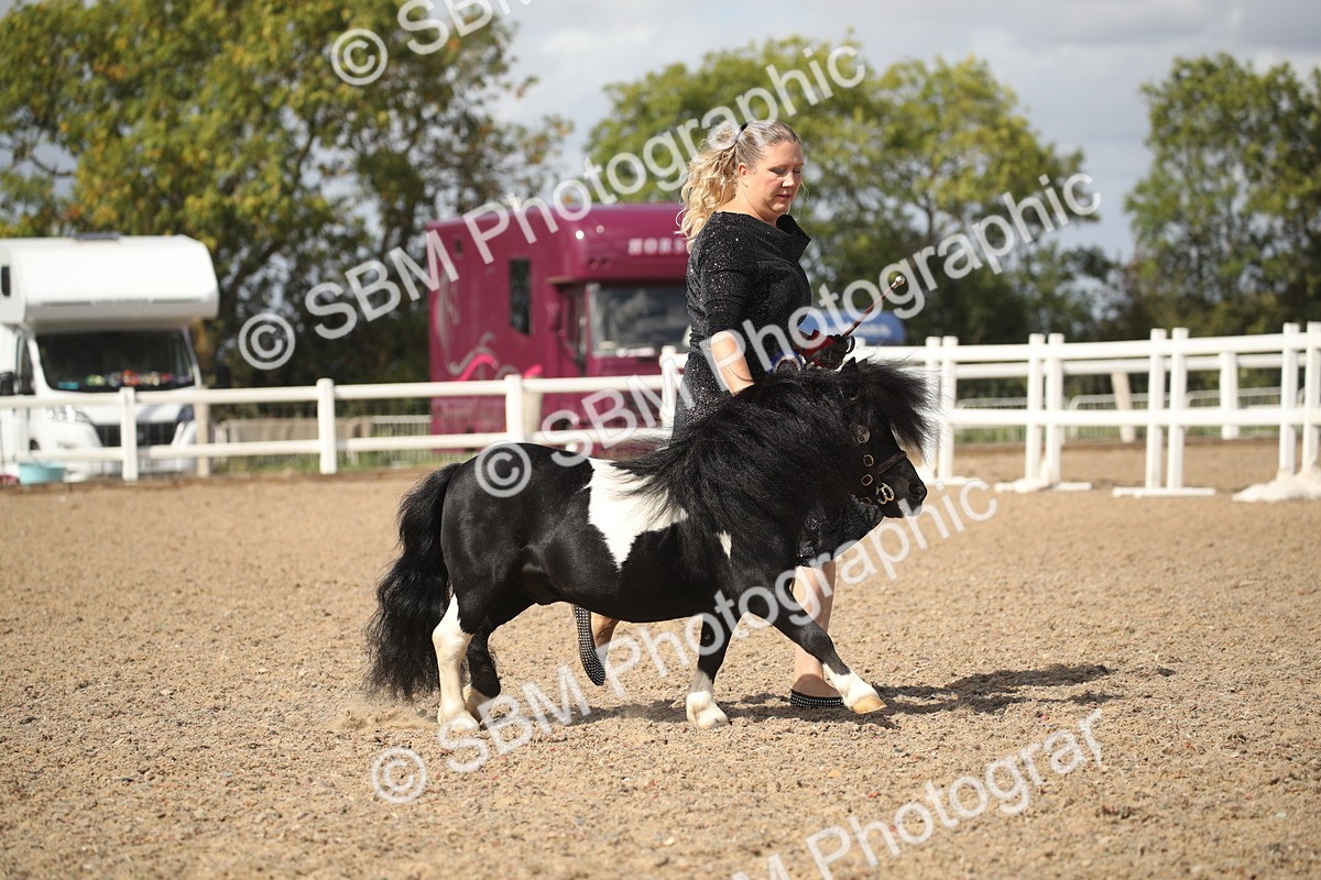 SBM_23179 - Class 606 - 2026 - Area - IH Pre Vet