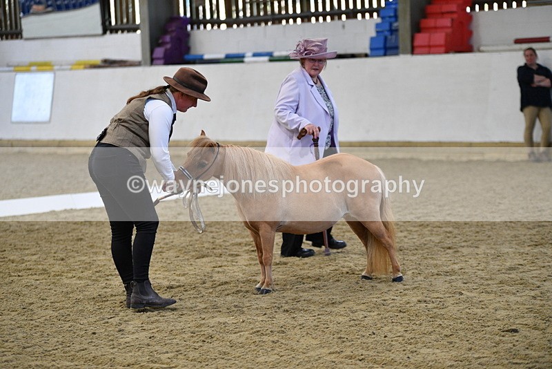 WJ5_3875 - Class 5 In Hand Veterans