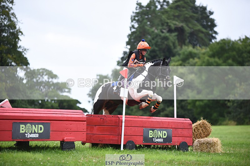 240804-144034-14815 - 555-Jack_Wish-WESTERLAKE_BUTTONWEED